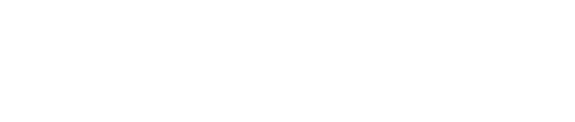 Bogner logo