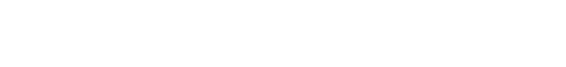Visamoda logo