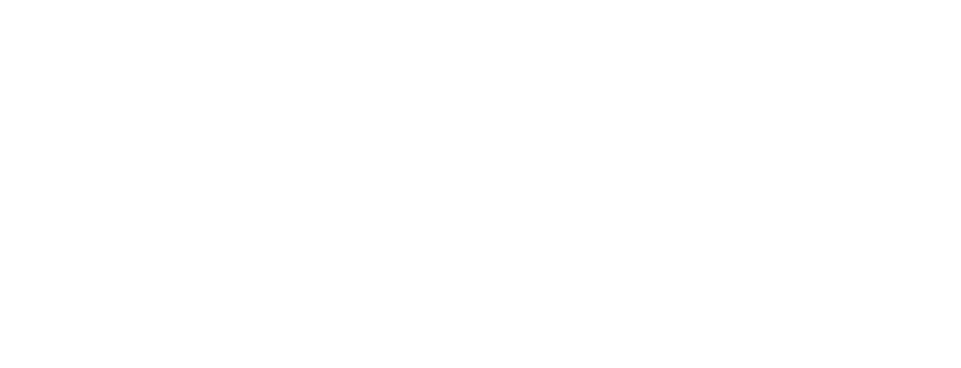 Little Sleepies logo