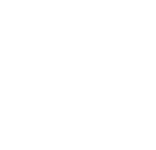 24S logo