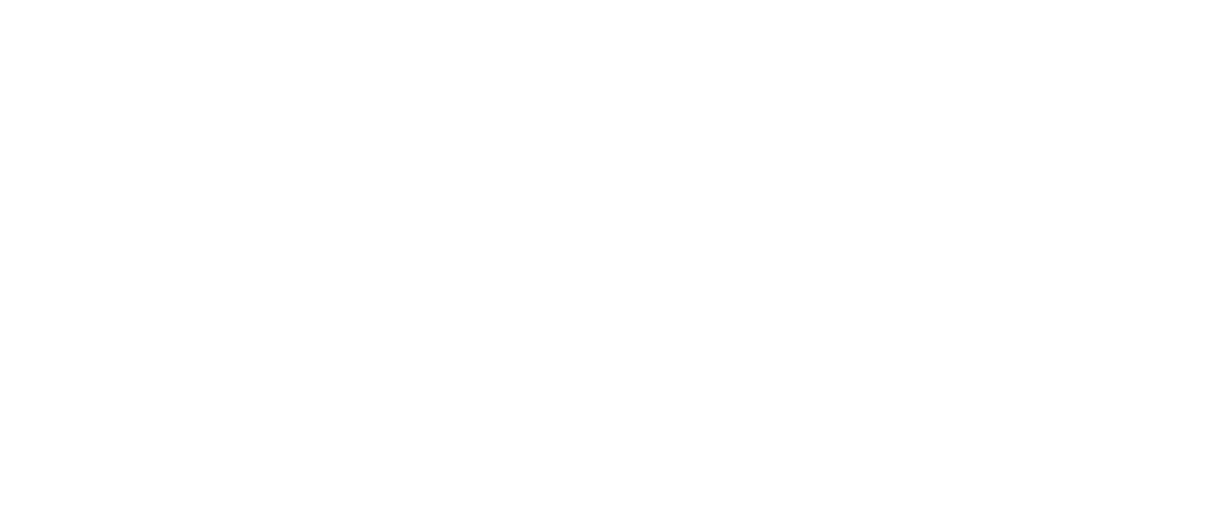 Stone Island logo