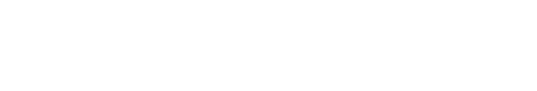 FORMULA logo