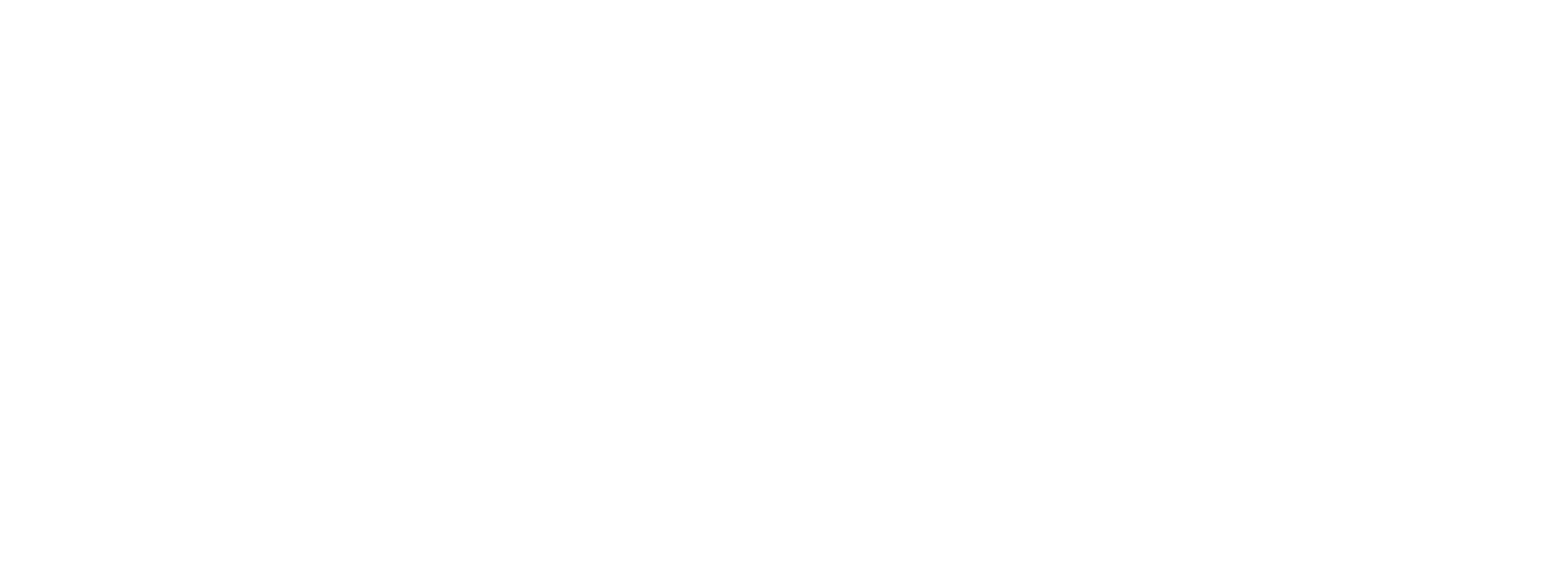 Prakti Beauty logo