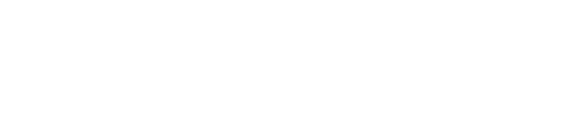 SSENSE logo