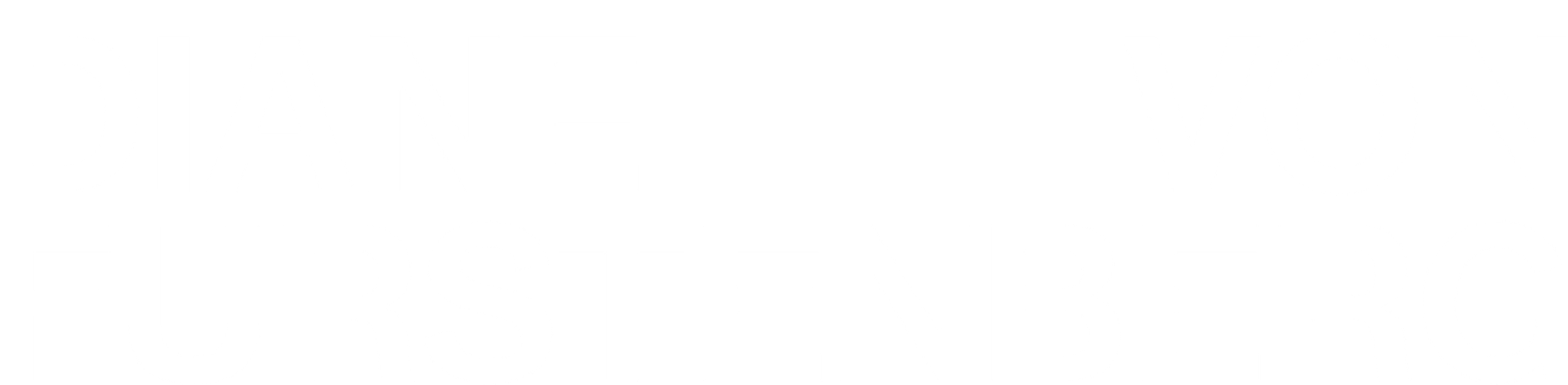 Diane Von Furstenberg logo