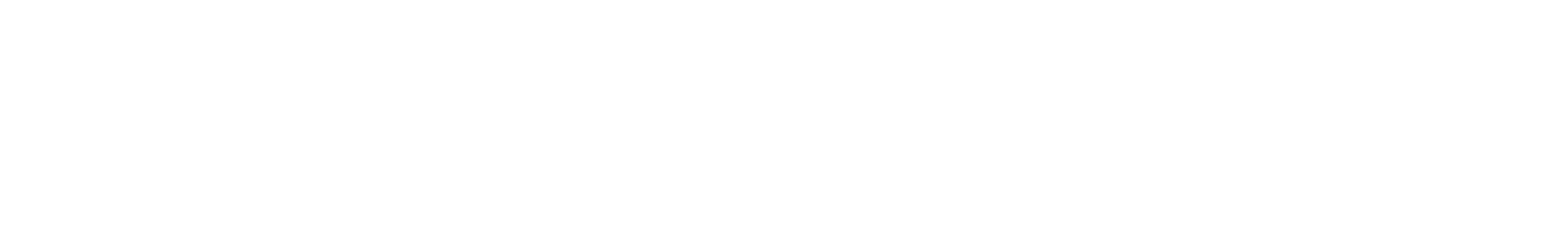 Southern Tide logo