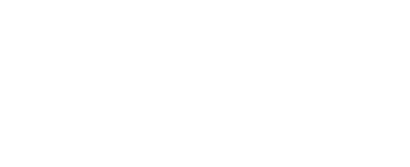 AMUR logo