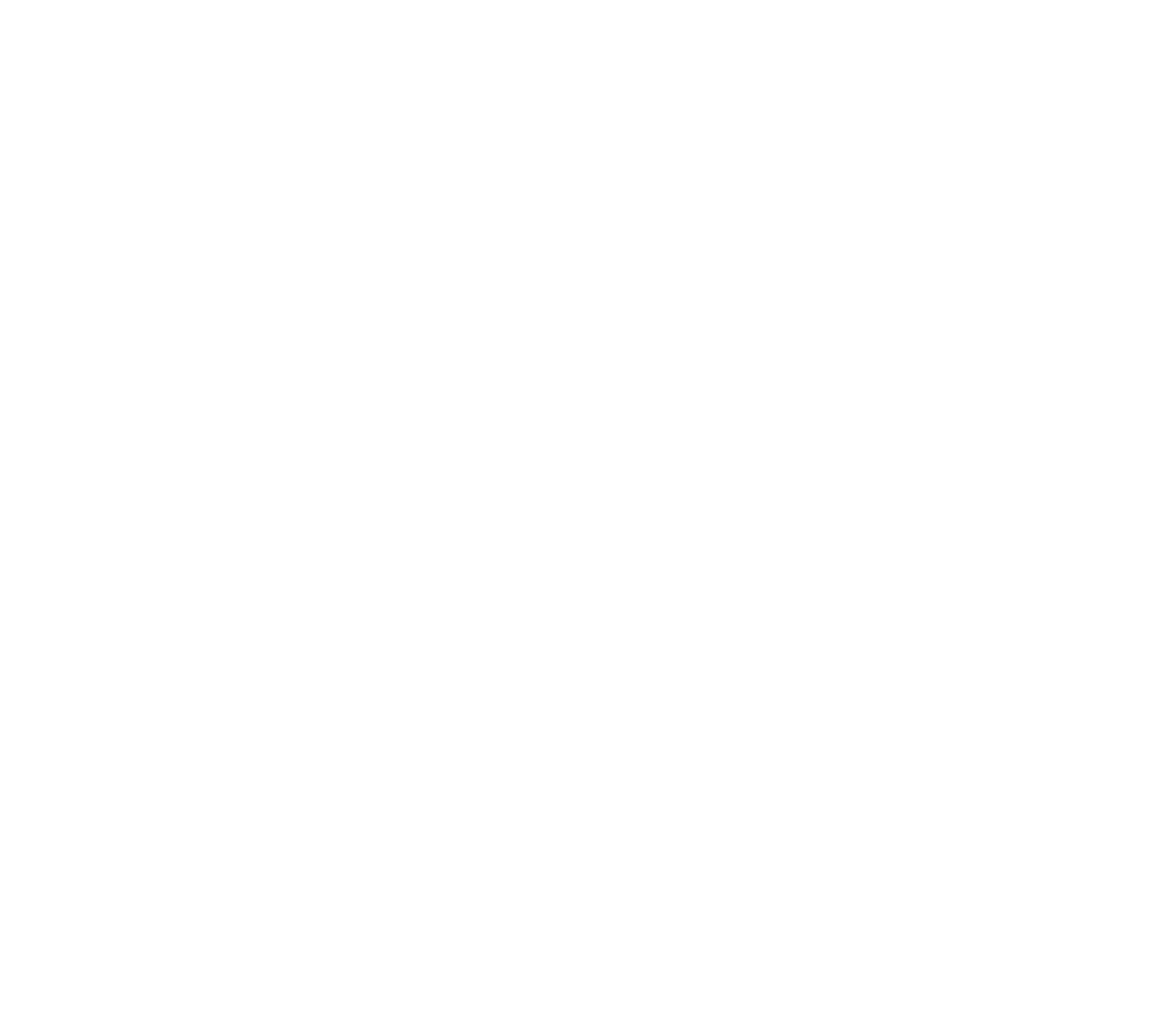Ancient Nutrition logo