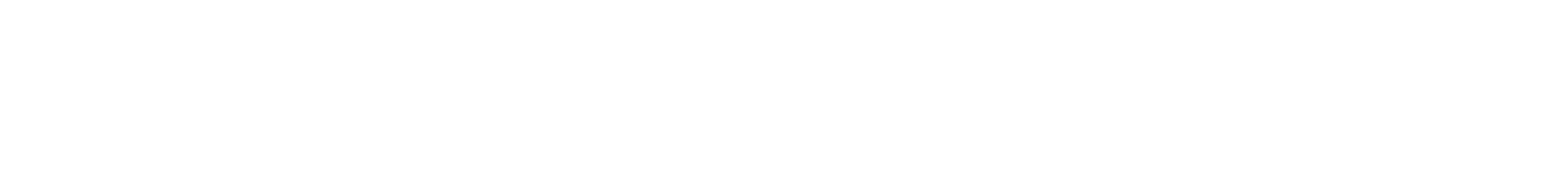 Soft Services logo