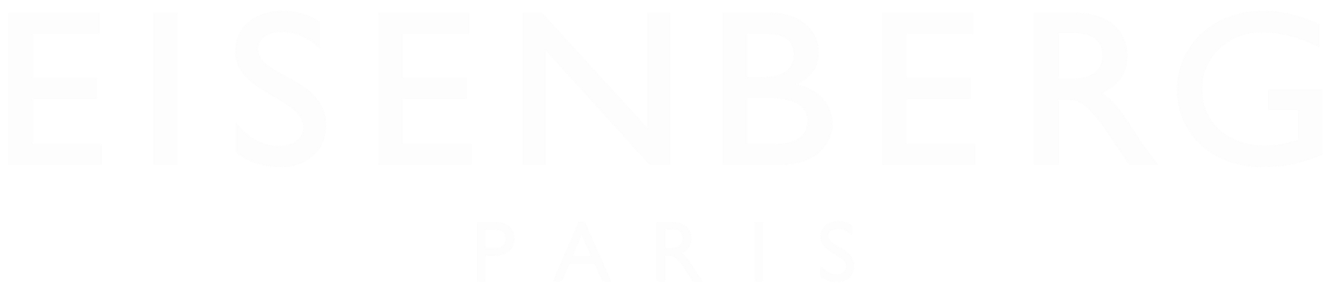 Eisemberg logo