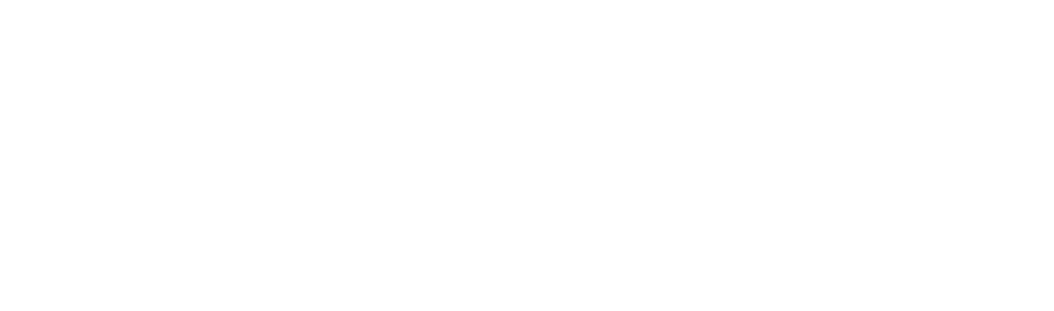 Todd Snyder logo