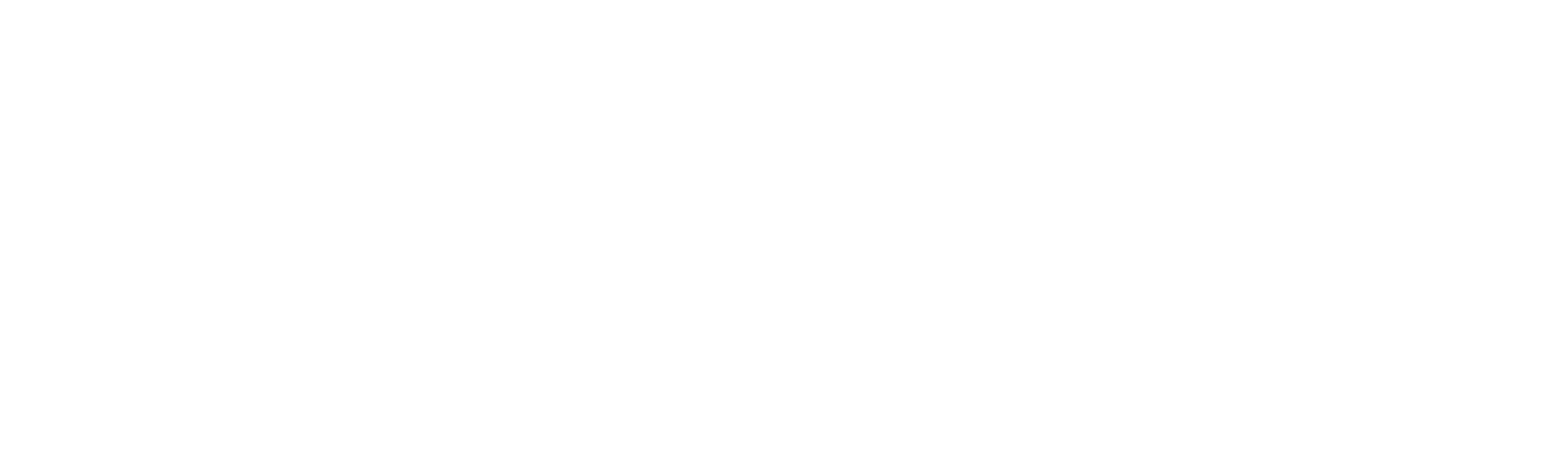 Balmain logo