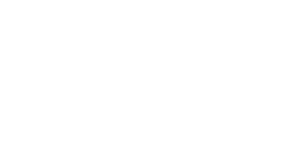 Felina logo