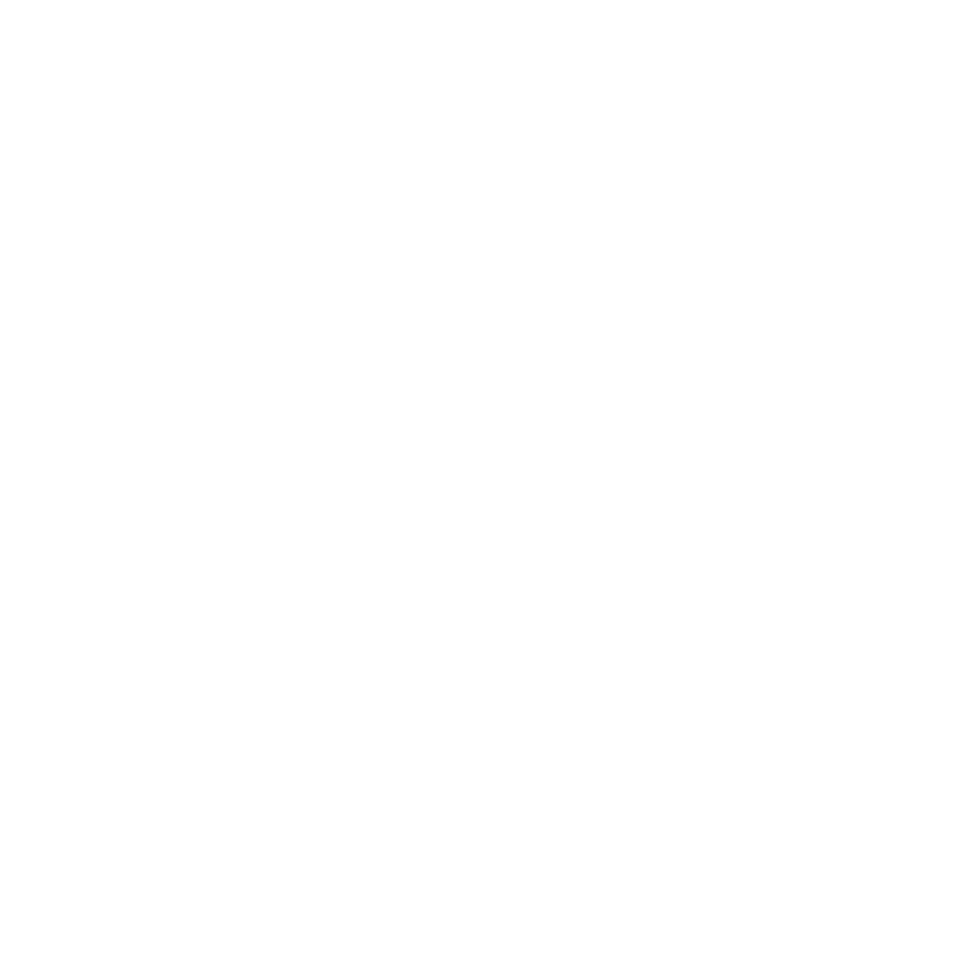 Ramy Brook logo