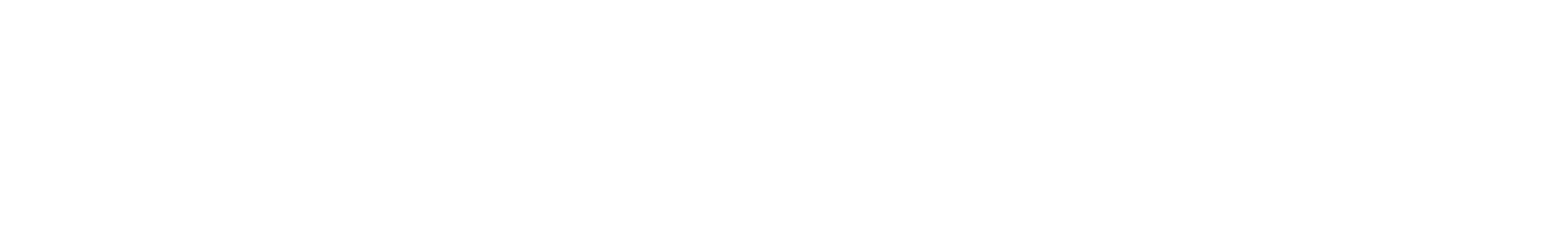 LoveShackFancy logo