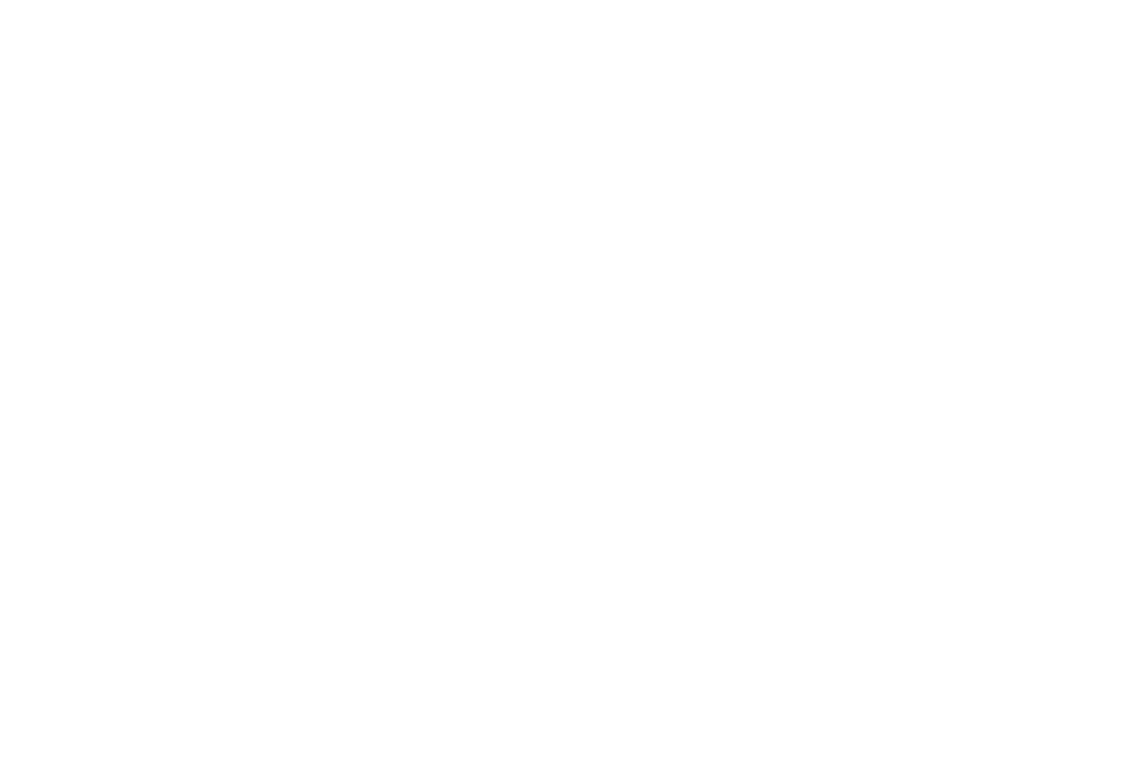 Stüssy logo