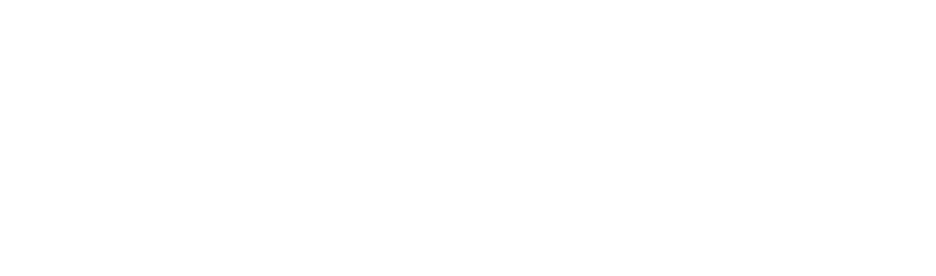 Splendid logo
