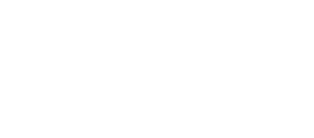 Nobody's Child logo