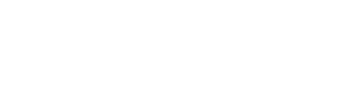 LESET logo