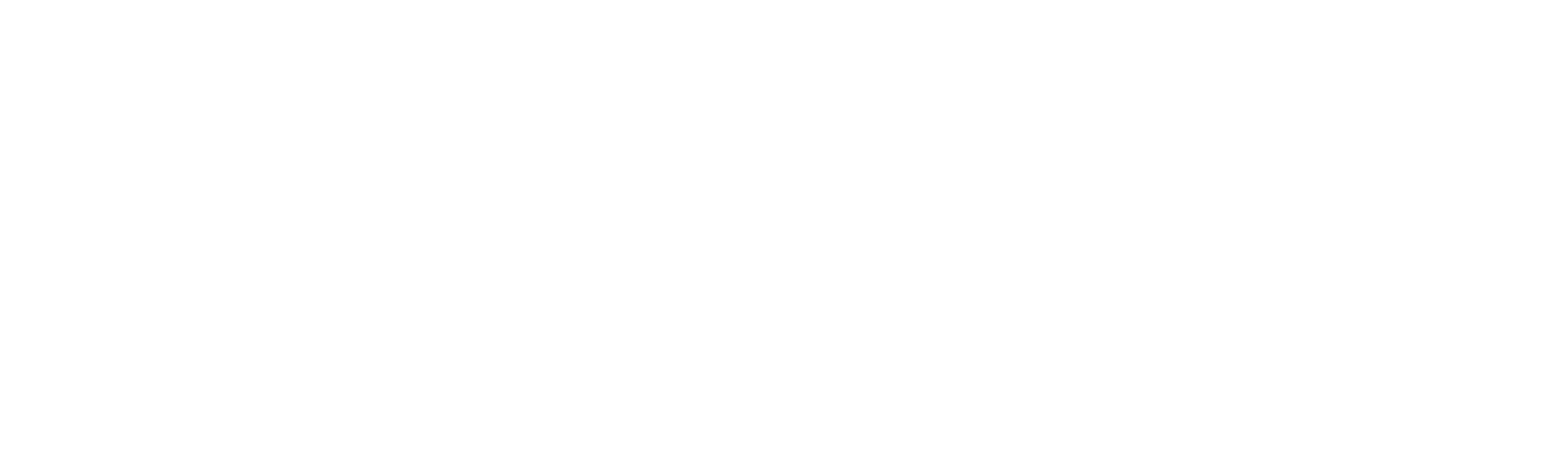 SET Active logo
