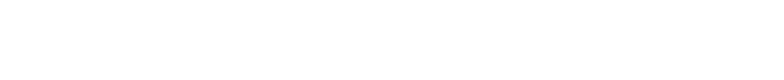 Anine Bing logo