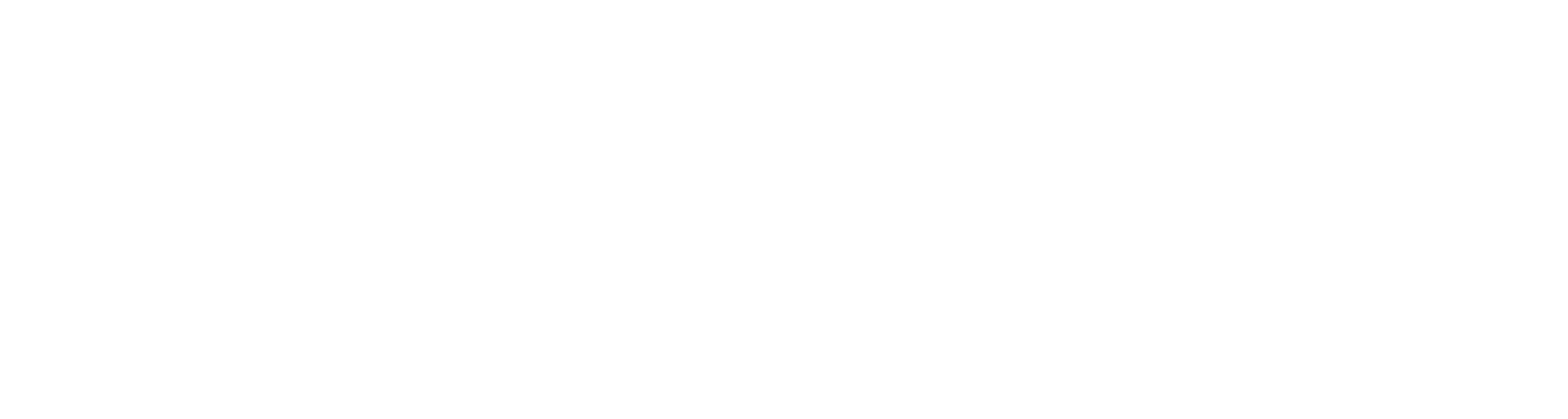 Showpo logo