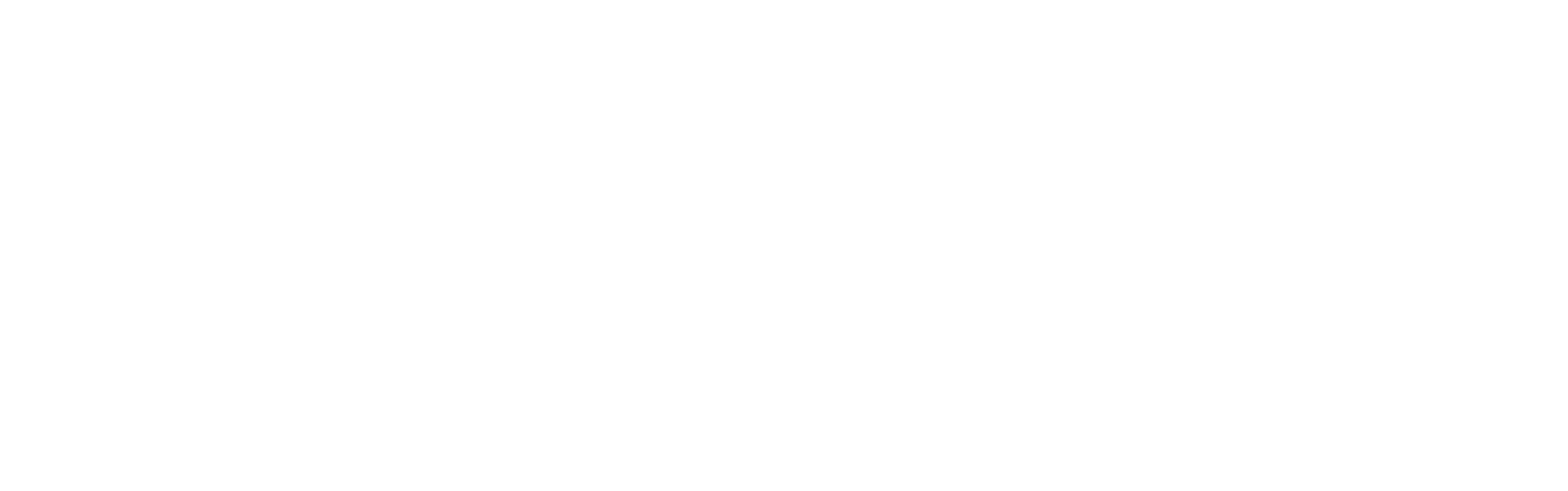 Valentino logo