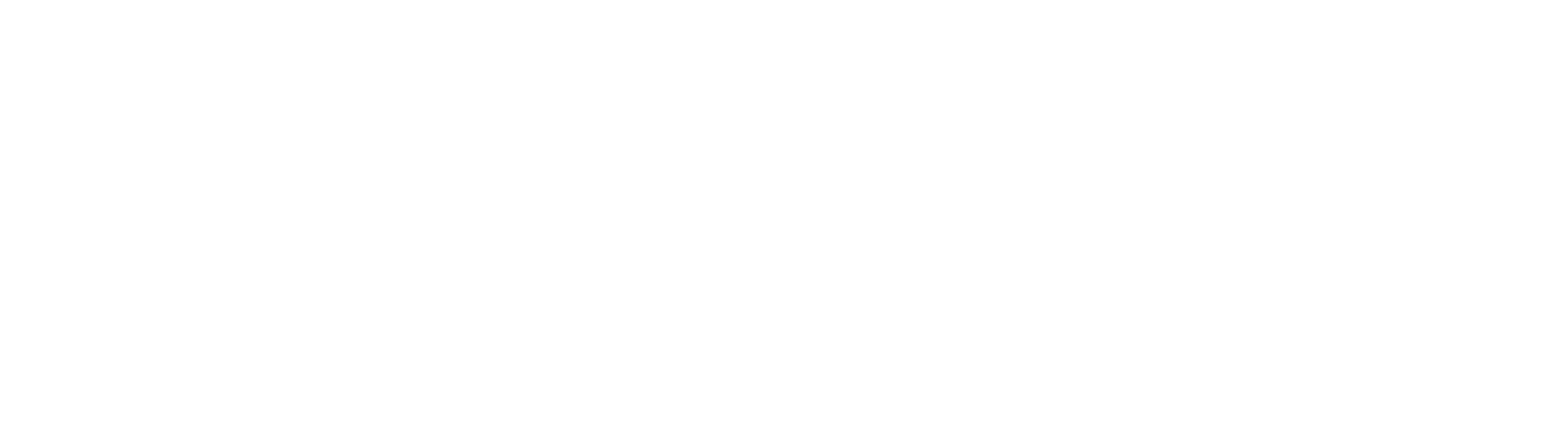 Dr. Barbara Sturm logo
