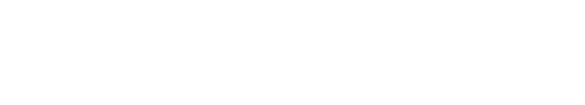 Dolce Leone logo