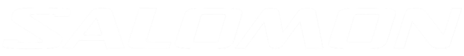 Salomon logo
