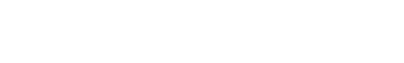 VEE COLLECTIVE logo