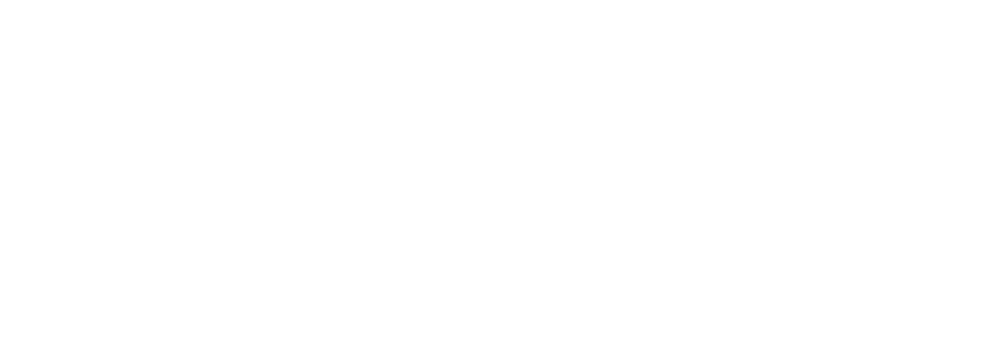 TOUS logo