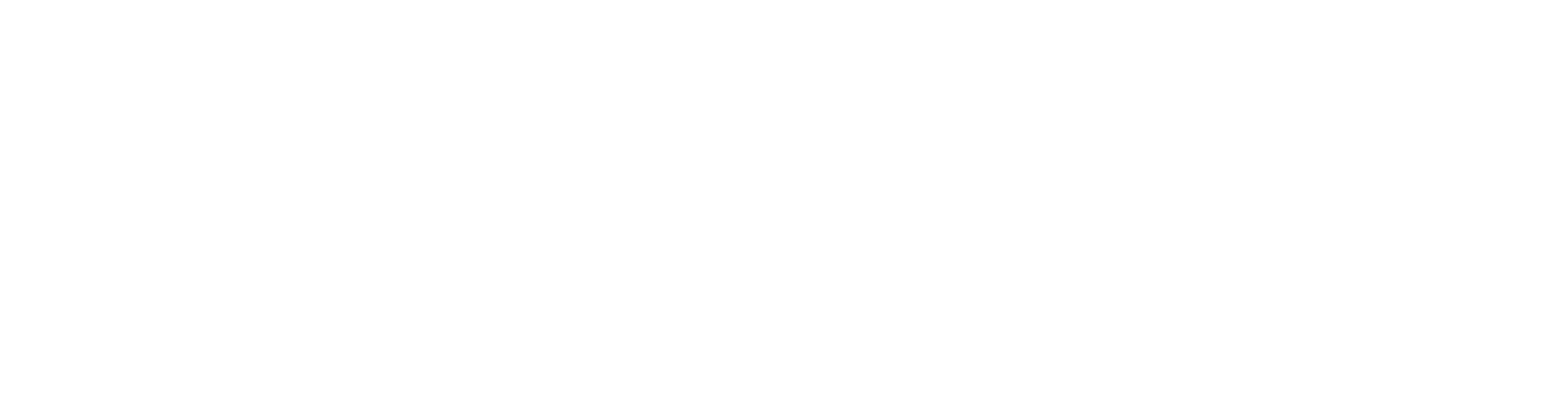 Mestiza New York logo