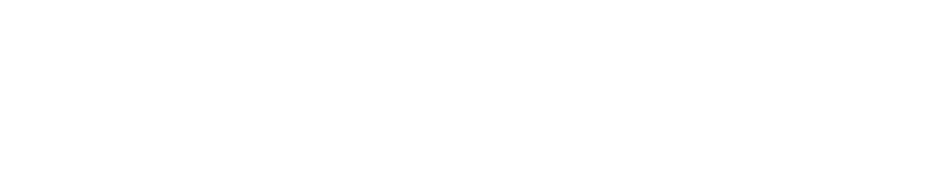 Evereve logo