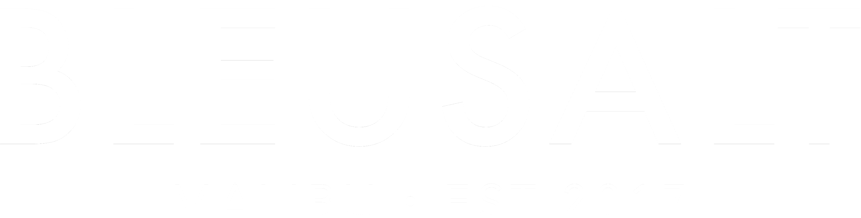 BLEUSALT logo