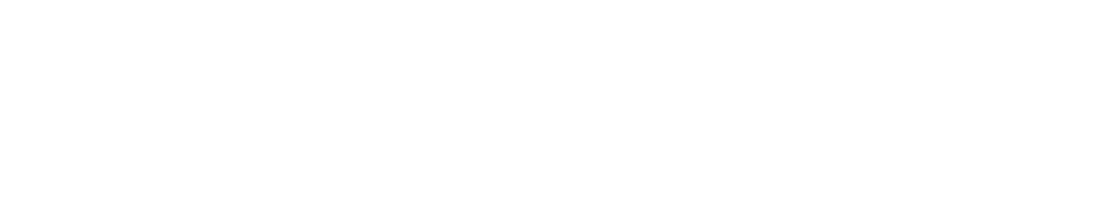 eNewton Design logo