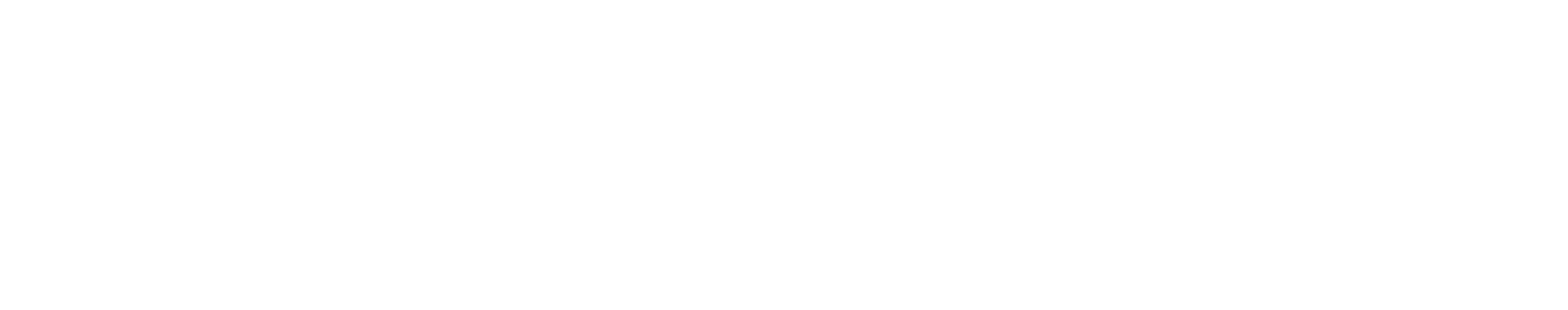 Retrofete logo