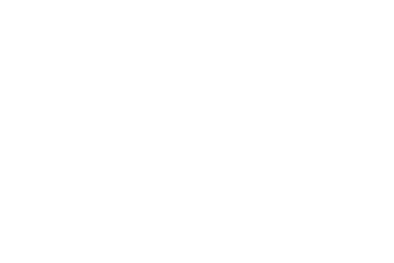 Puma logo