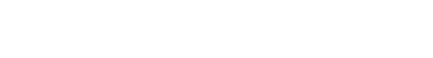 Roam Luggage logo
