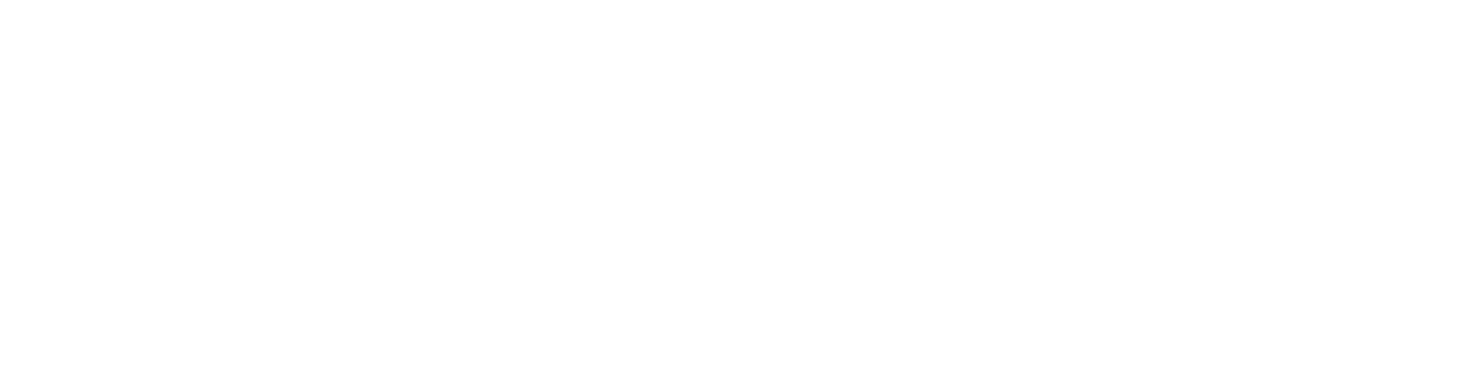 S/W/F Boutique logo