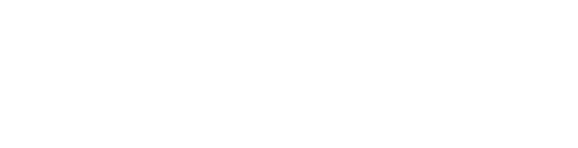 FIOBOC logo