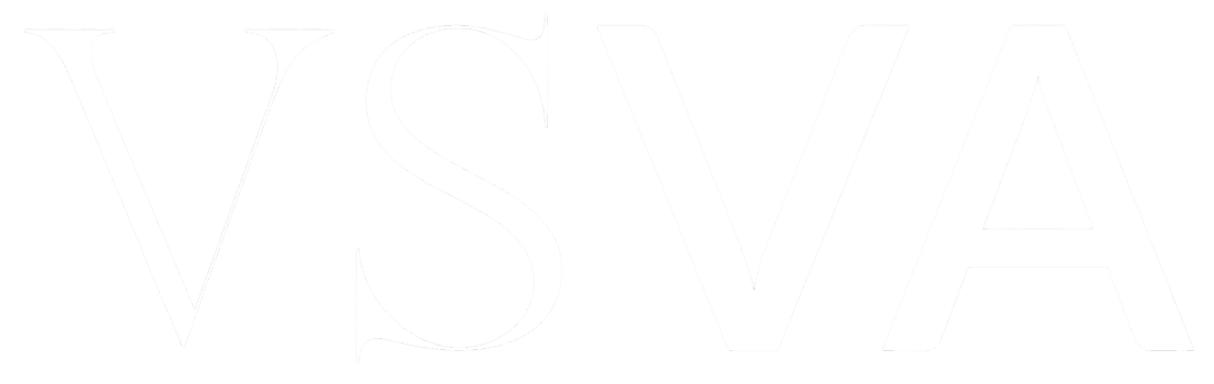 VS Vintage Archive logo