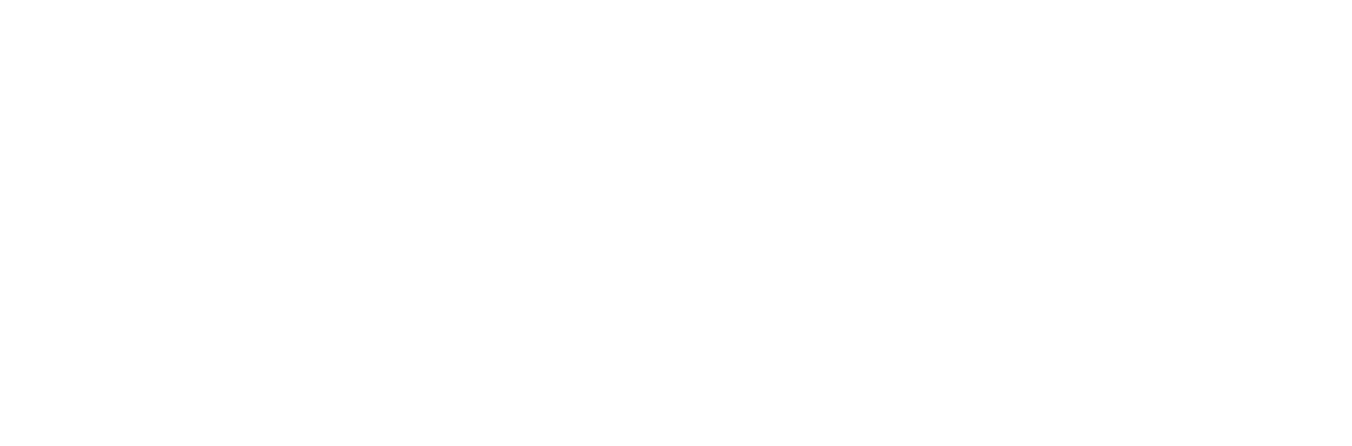 Eric Javits logo