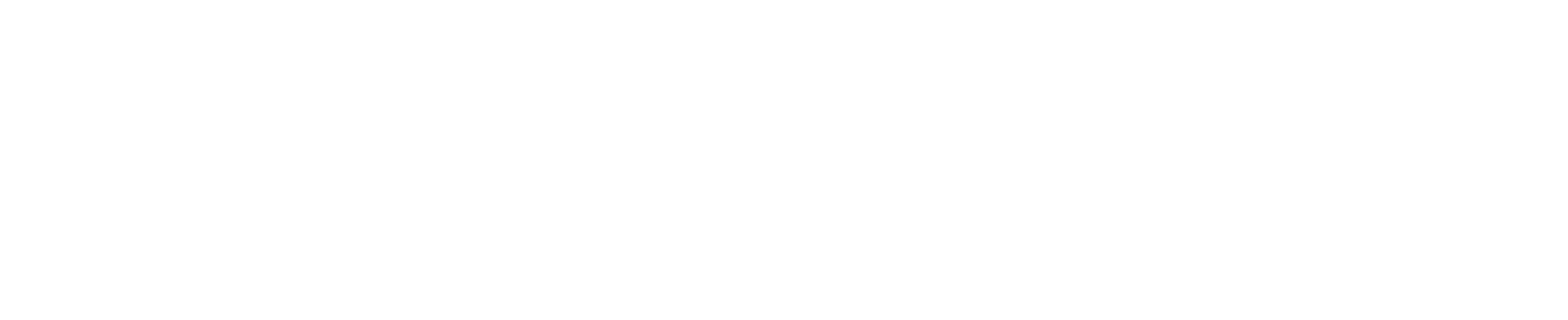 True Religion logo