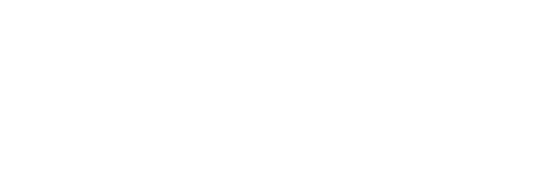 Pascal Design logo