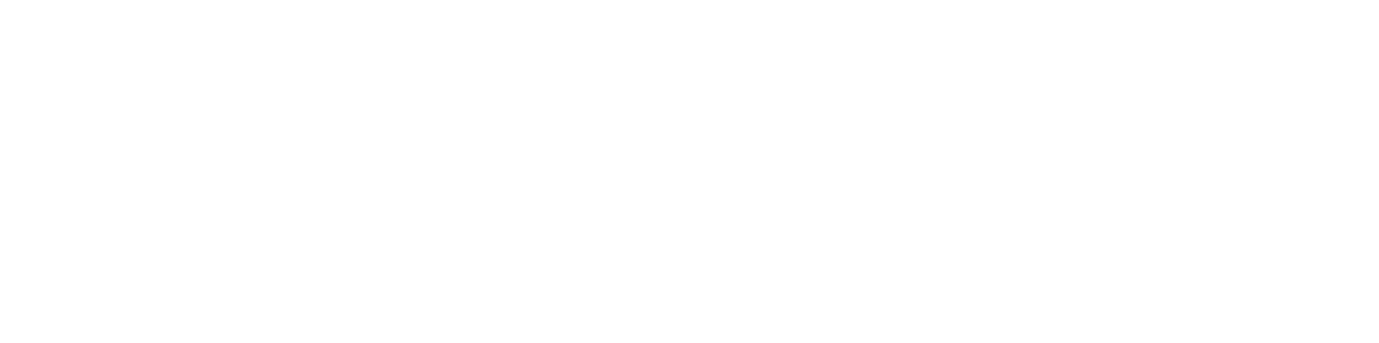 Baltini logo