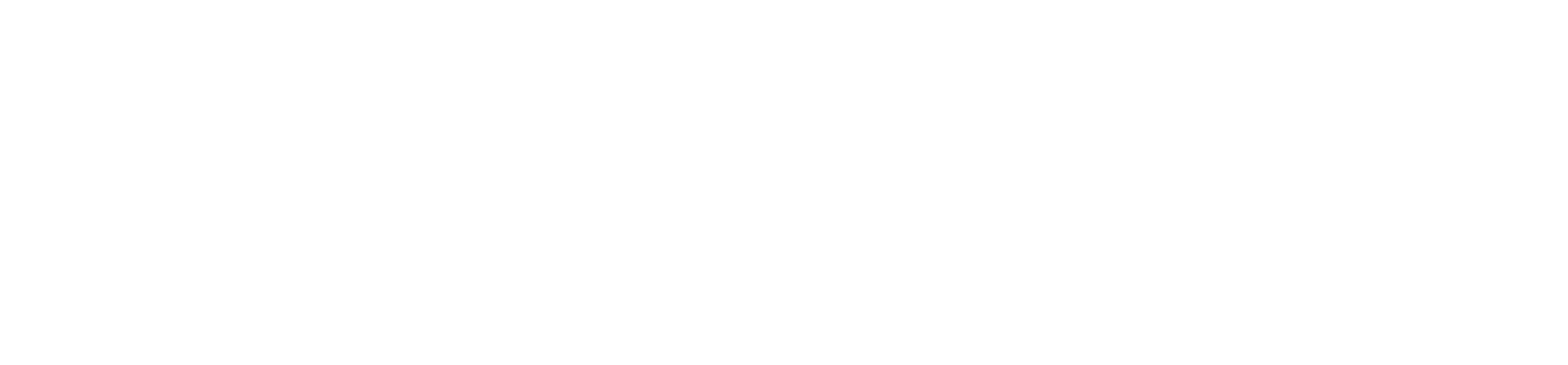 Klassic Statement logo