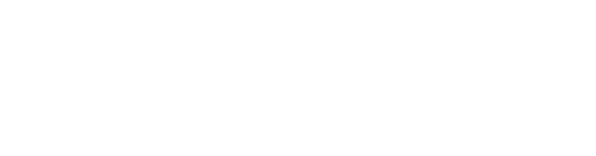 Posse logo