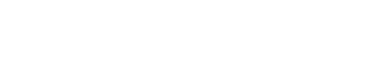 DONNI logo