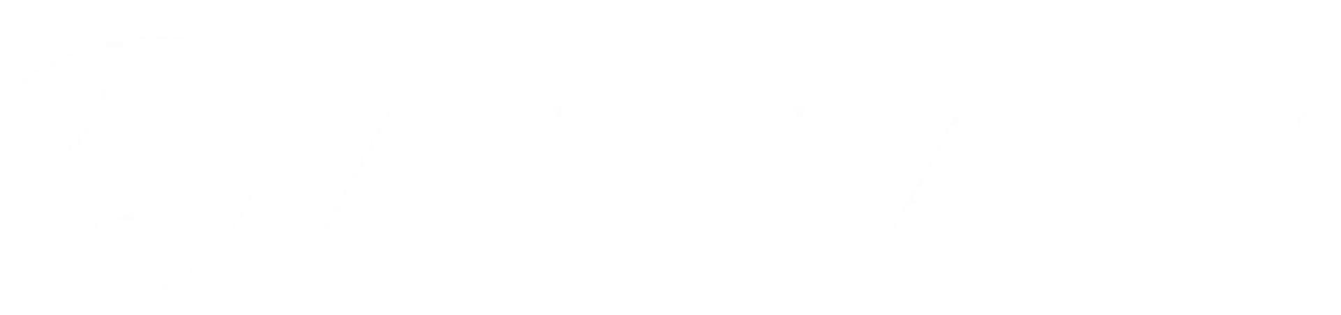 Ariat logo
